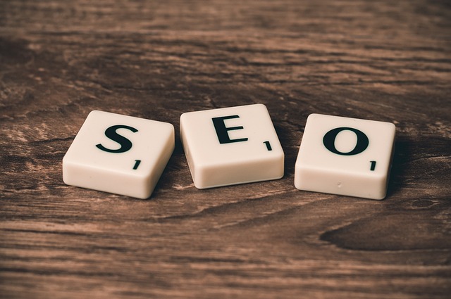1765178304423511.jpg seo-758264_640.jpg